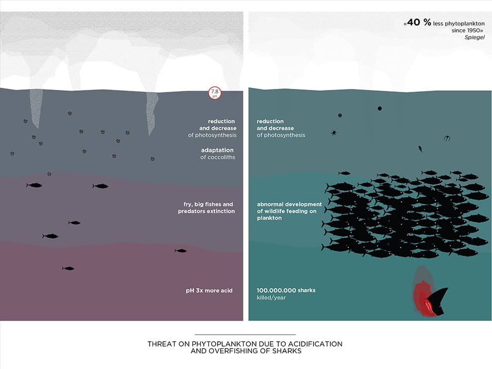 Bloom: Aquatic Farm - image 9