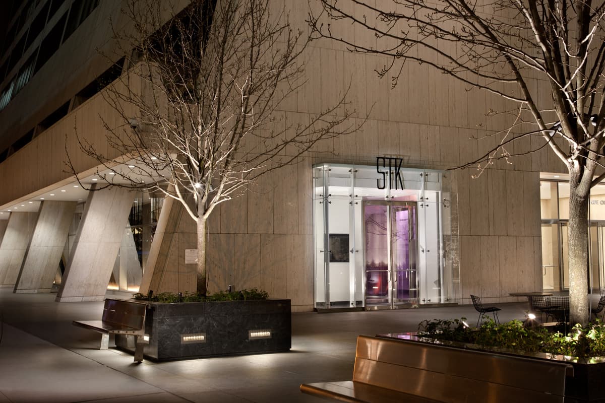 STK Midtown - image 6