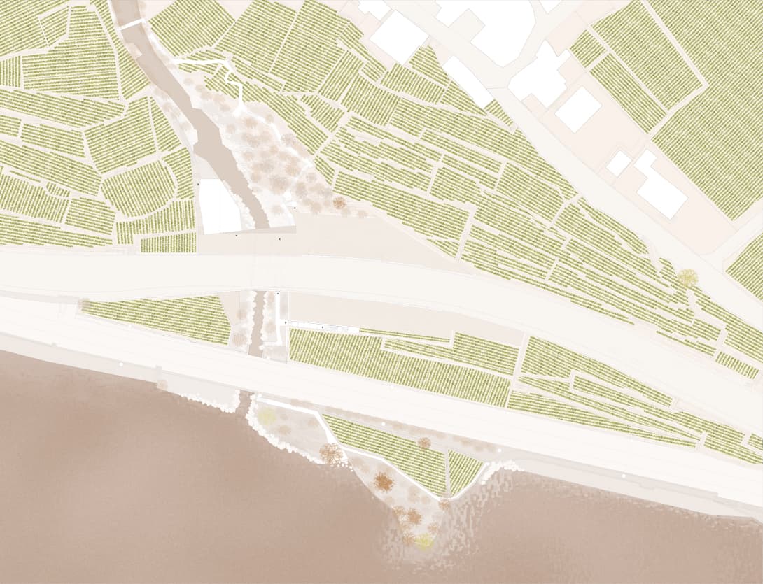 VINORAMA - image 11