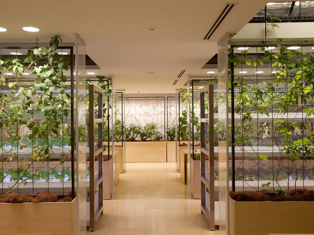 Pasona H.Q. Tokyo - image 18