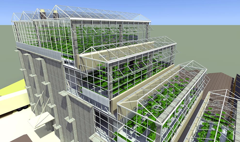 Growing Power Urban Farm - image 5