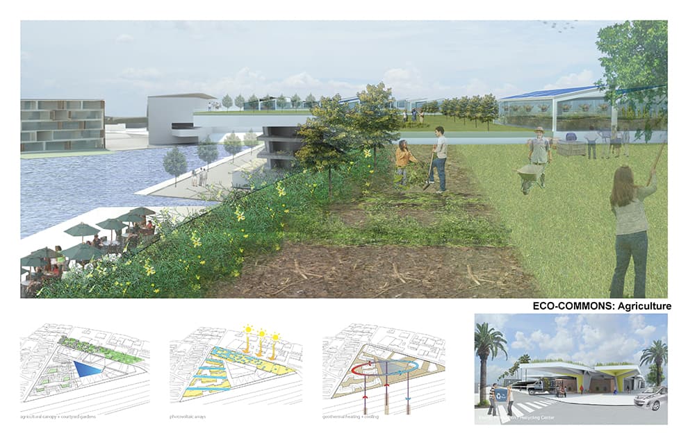 Eco-Commons - image 7