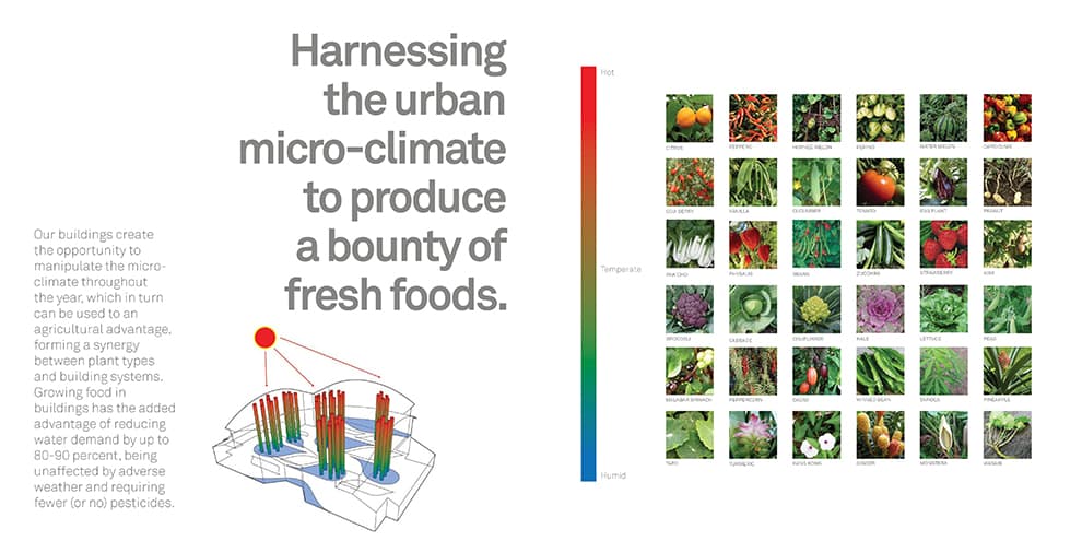 The Urban Food Jungle - image 11