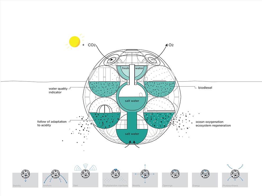 Bloom: Aquatic Farm - image 5