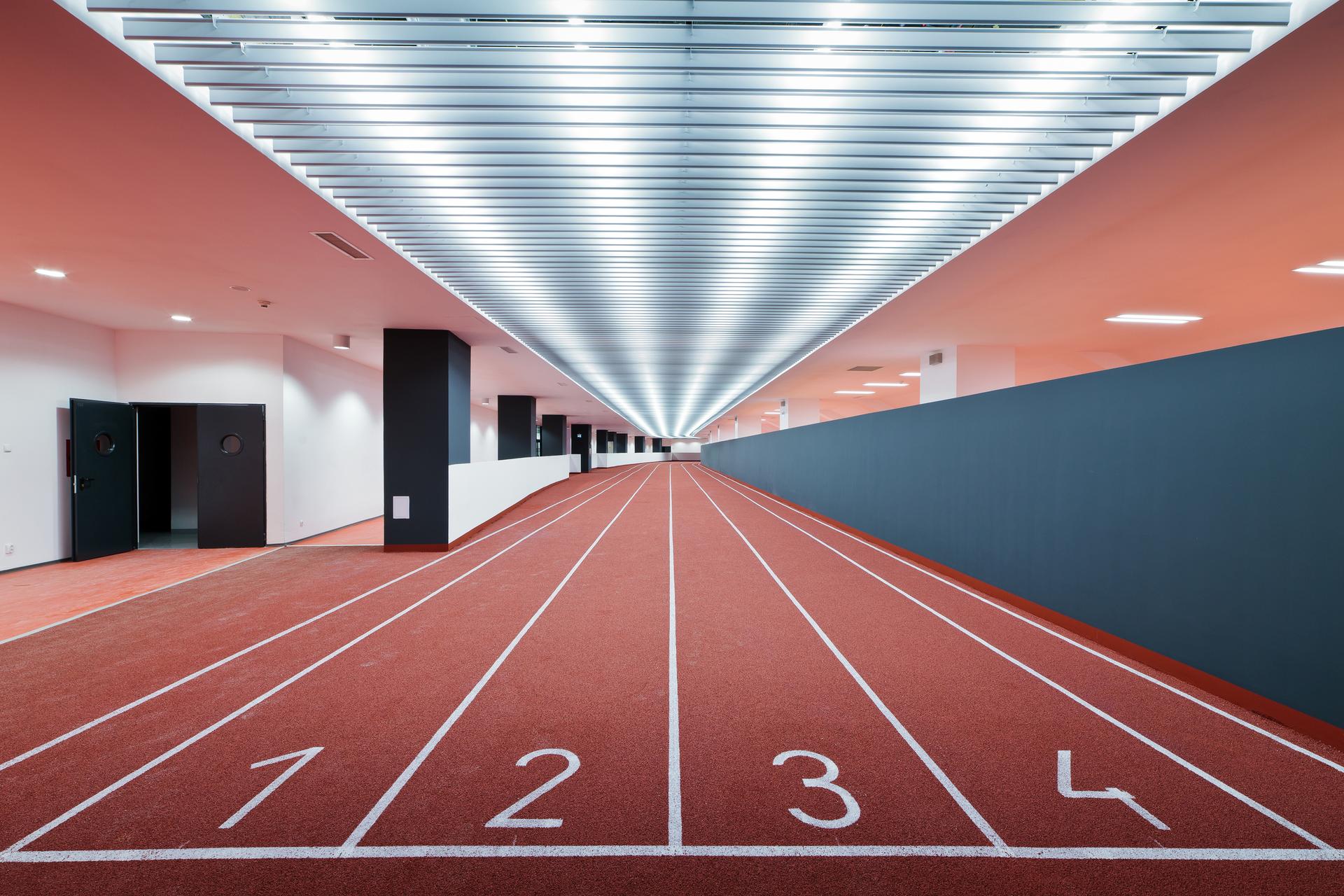 Cluj Arena - image 14