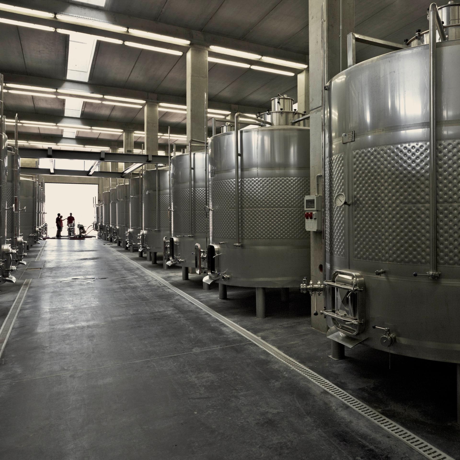 Ixsir Winery - image 9