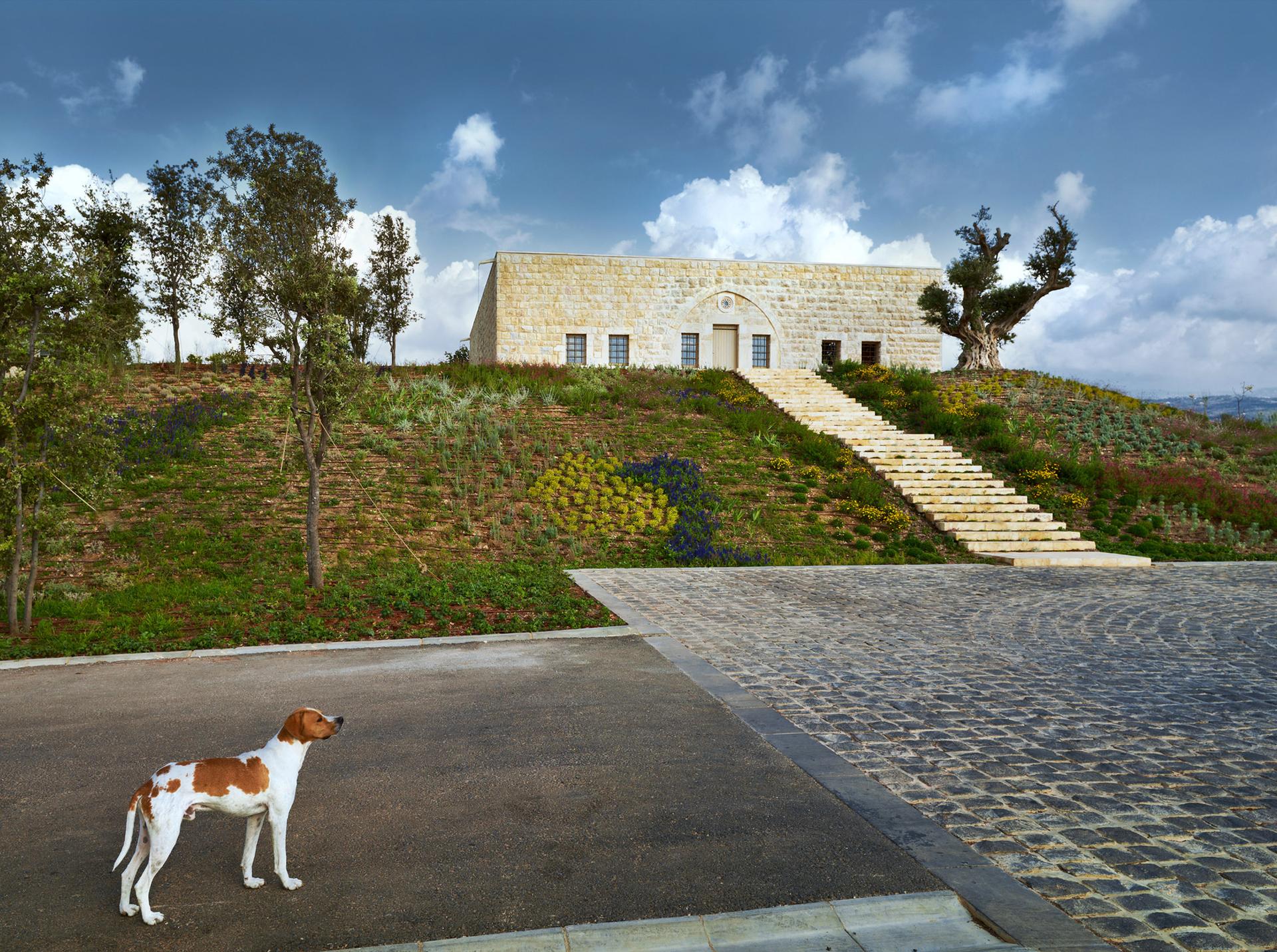 Ixsir Winery - image 2