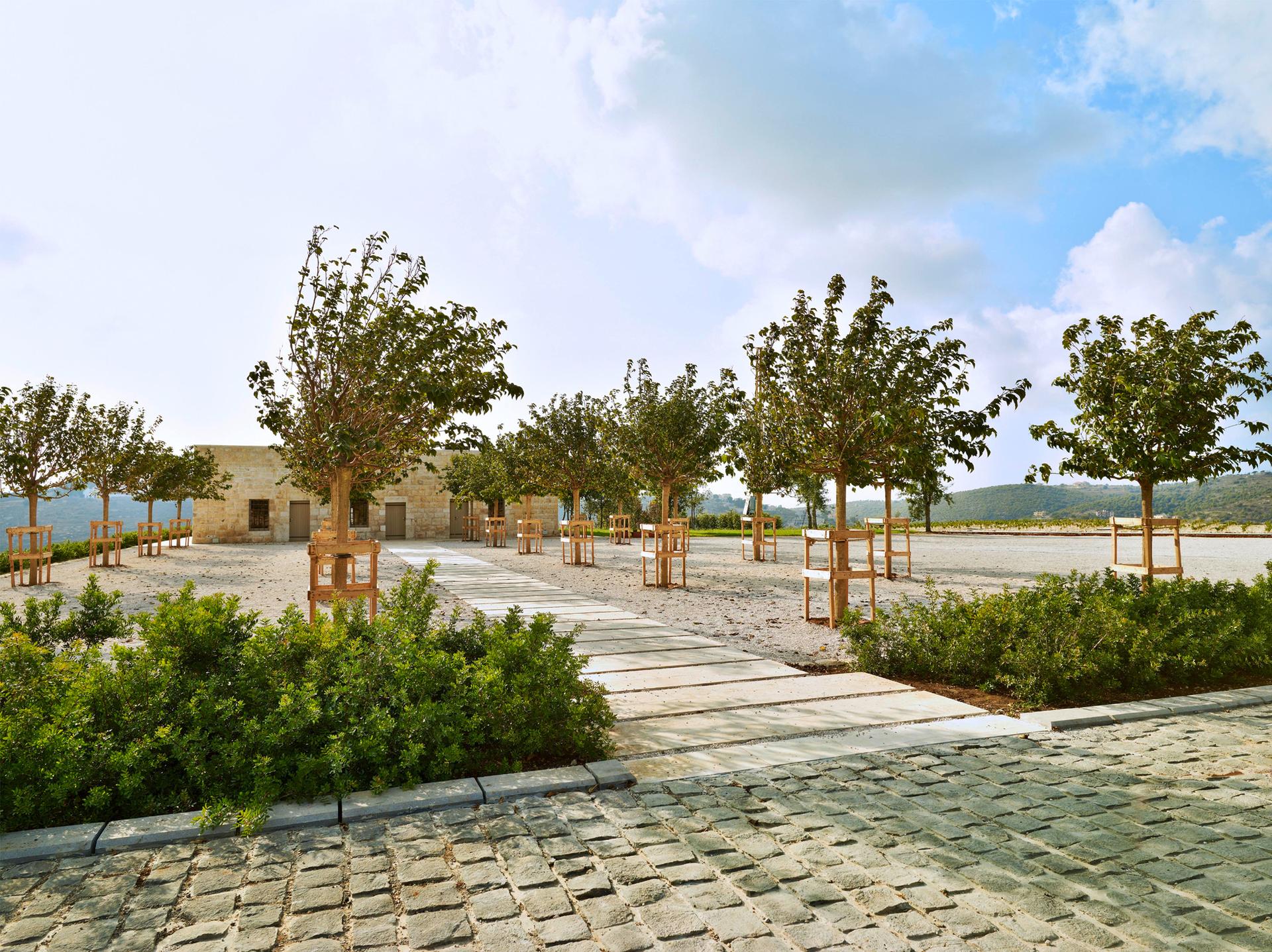 Ixsir Winery - image 12