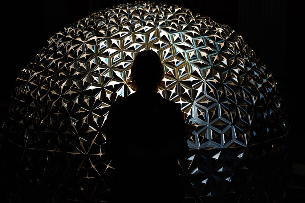 Lotus Dome - image 2