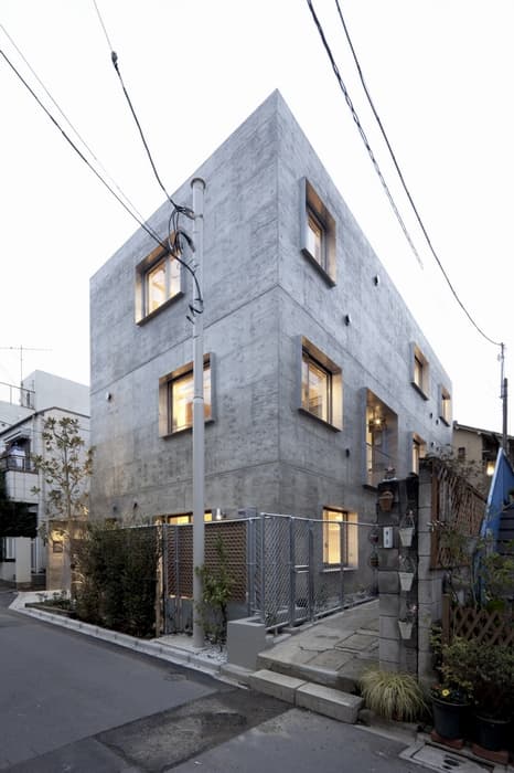 yotsuya tenera - image 4