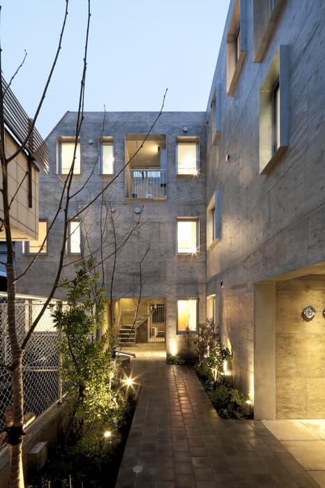 yotsuya tenera - image 2