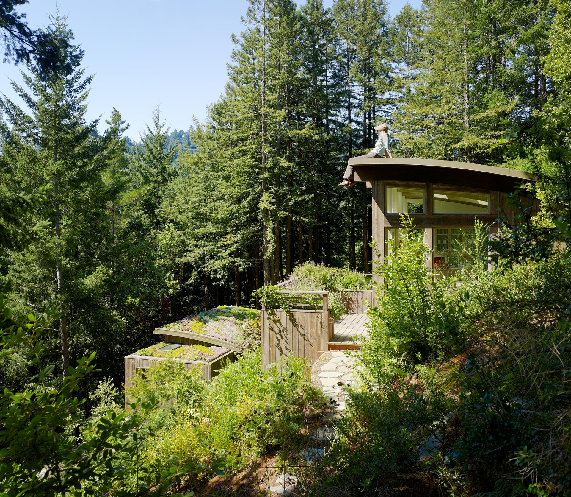 Mill Valley Cabins - image 9