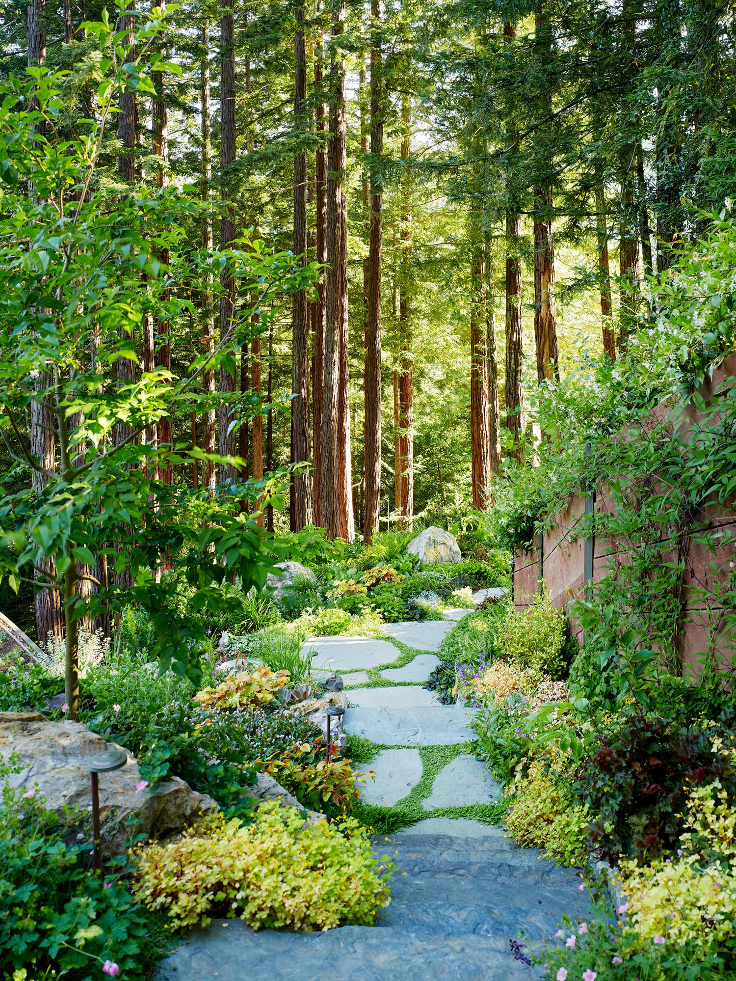Mill Valley Cabins - image 11
