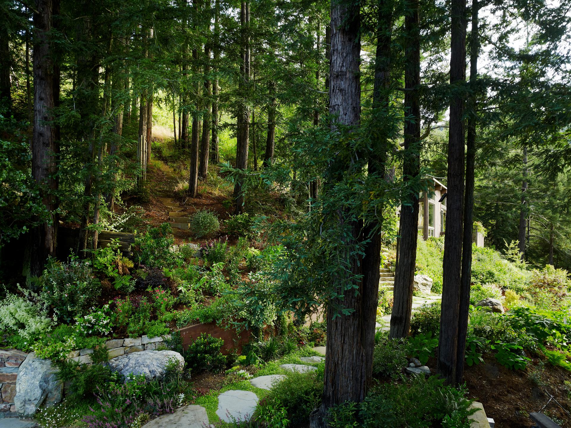 Mill Valley Cabins - image 10