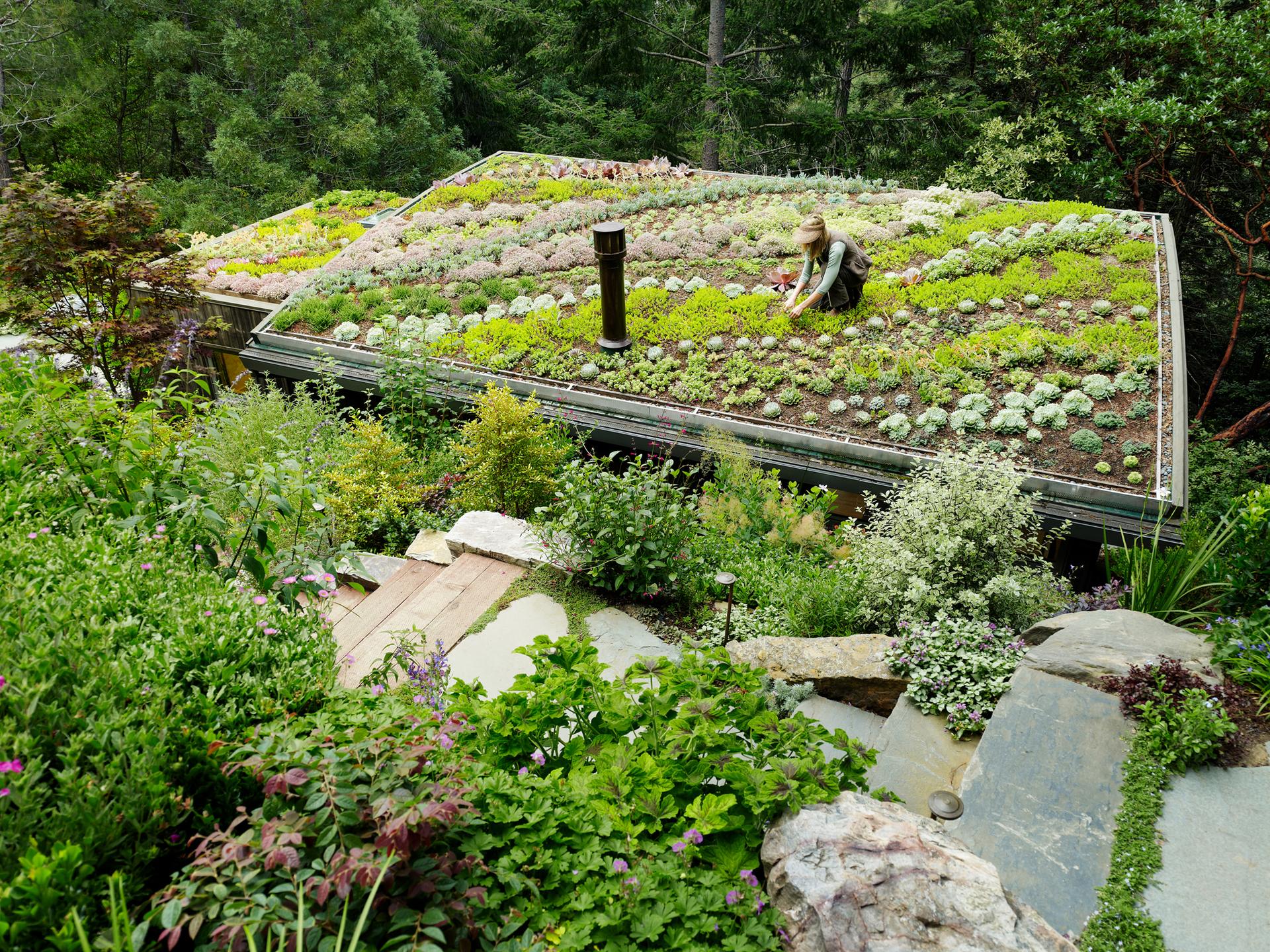 Mill Valley Cabins