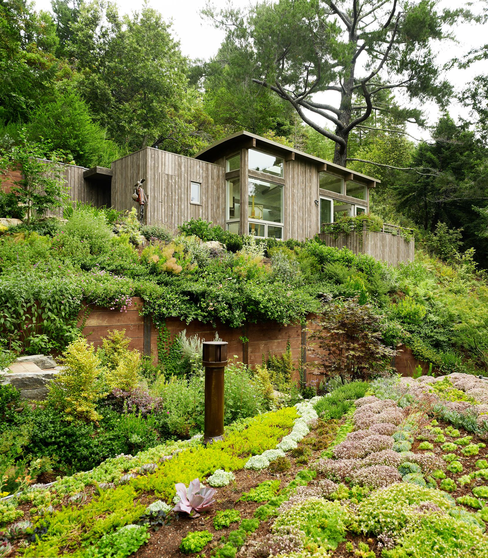 Mill Valley Cabins - image 7