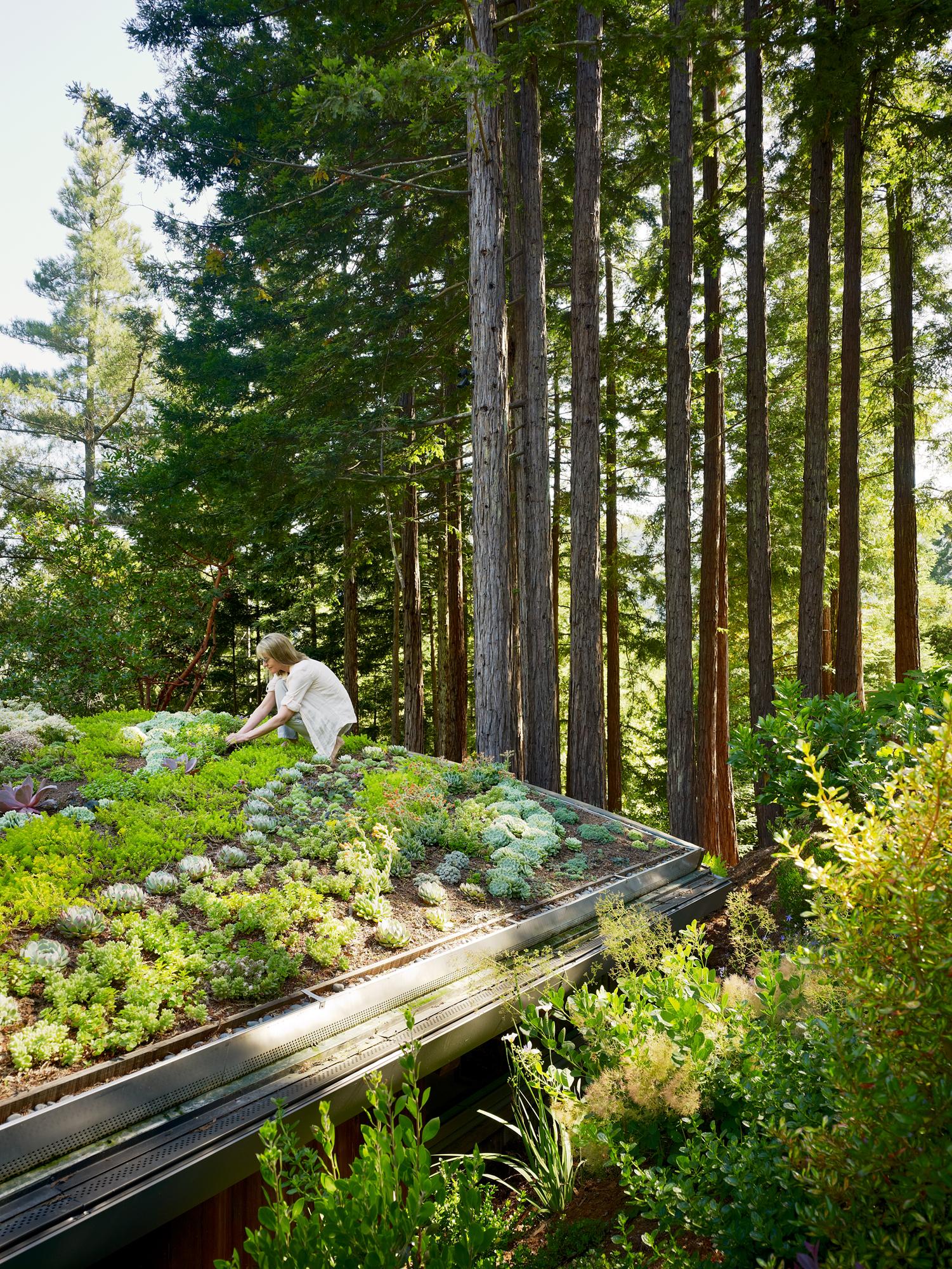 Mill Valley Cabins - image 2