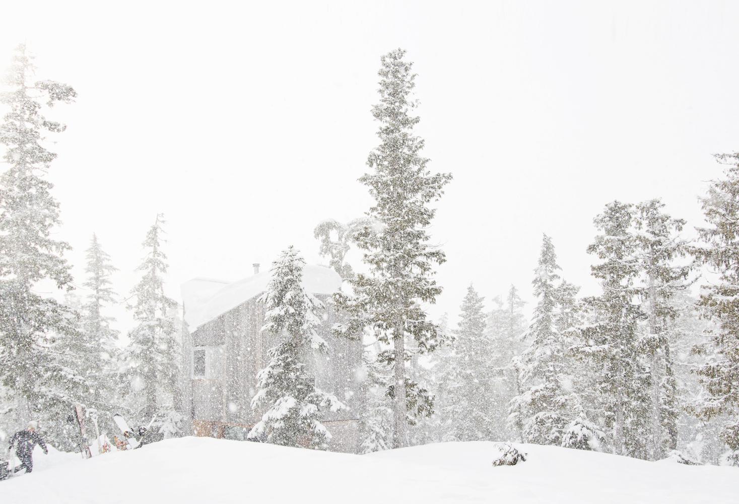 Alpine Cabin - image 15