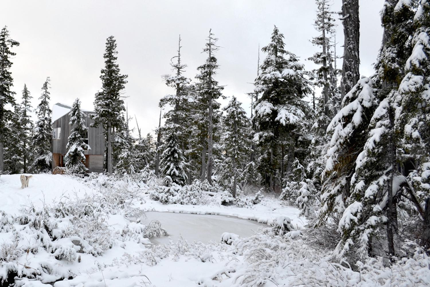 Alpine Cabin - image 14