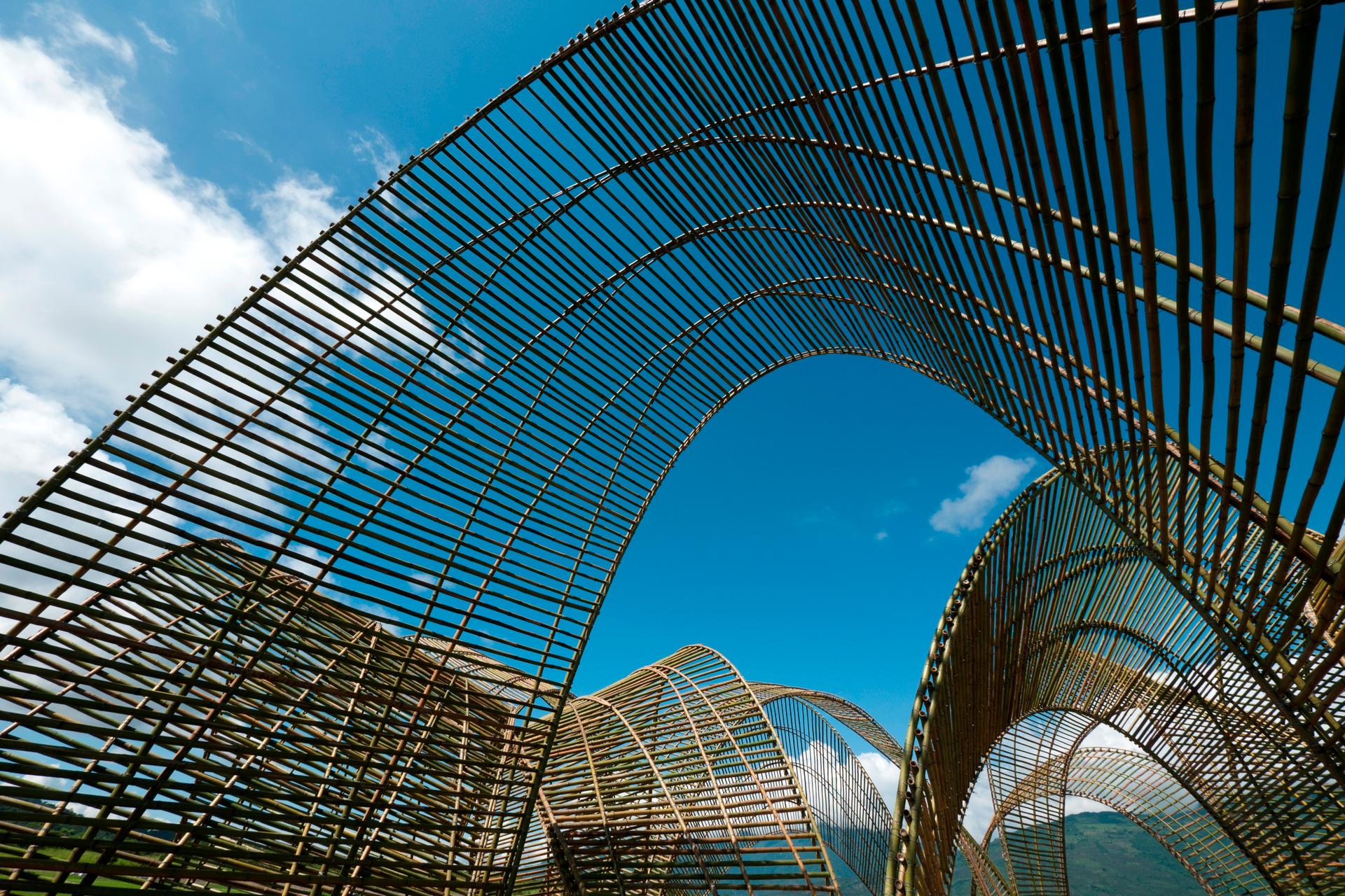 Forest Pavilion - image 2