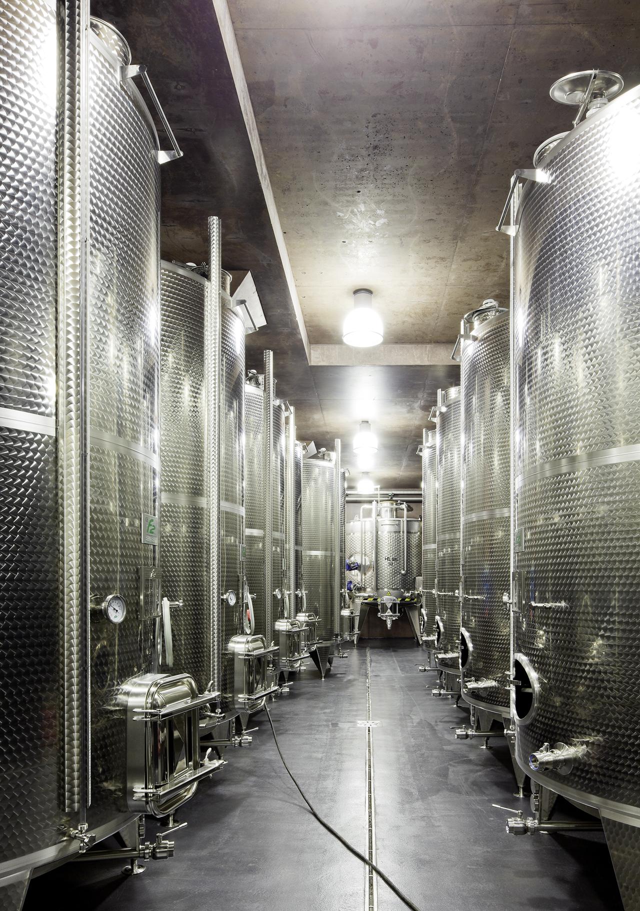Nals-Margreid Winery - image 4
