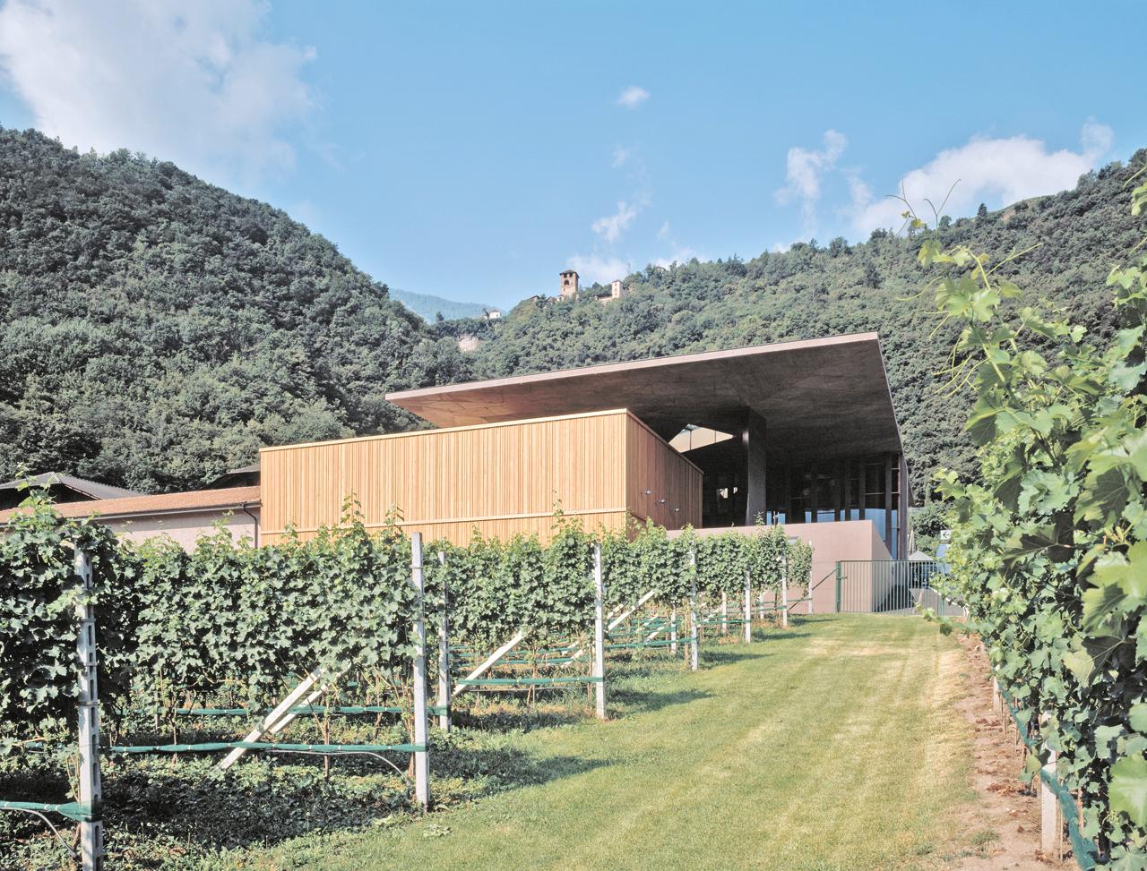 Nals-Margreid Winery - image 19
