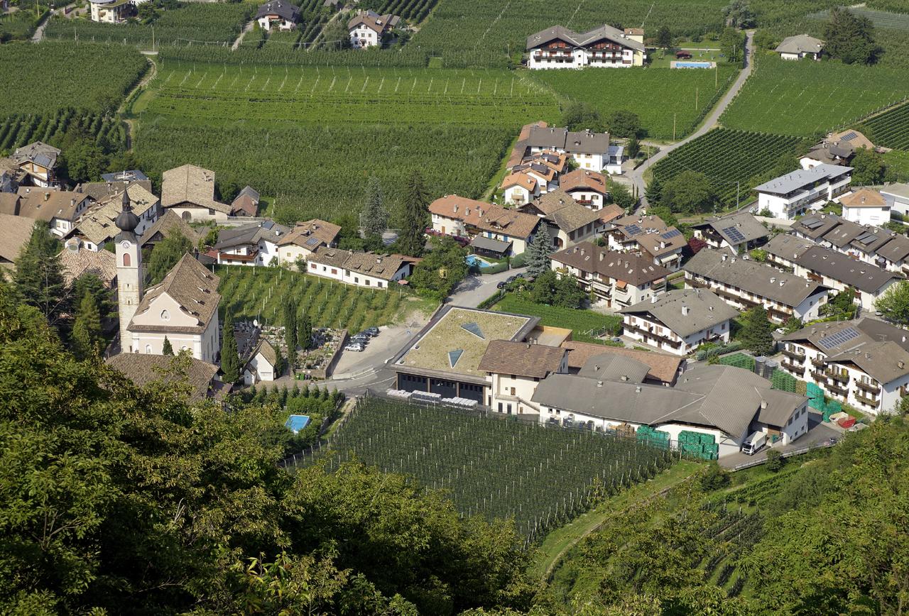 Nals-Margreid Winery - image 20