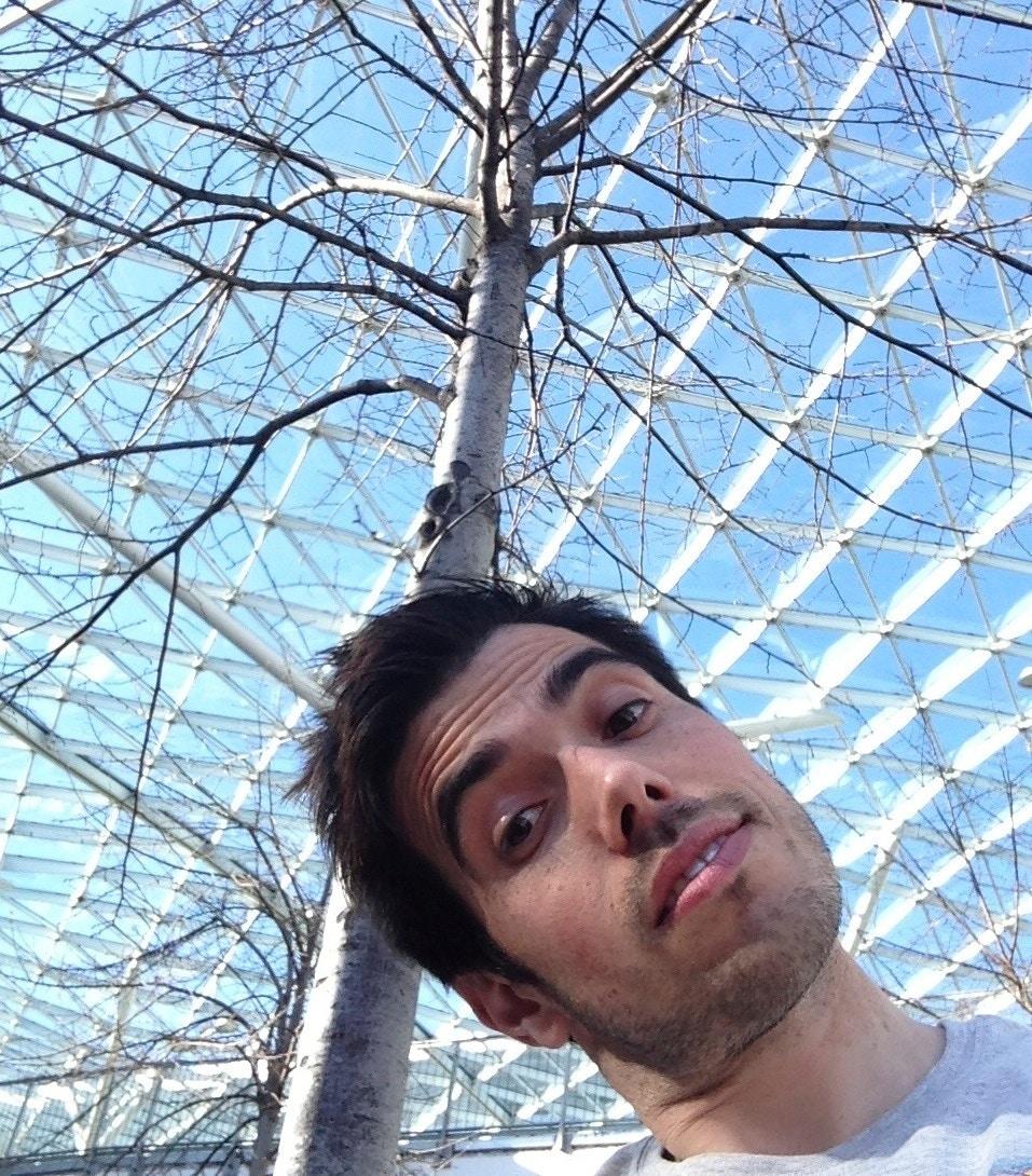 rui dinis